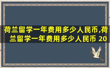 荷兰留学一年费用多少人民币,荷兰留学一年费用多少人民币 2022